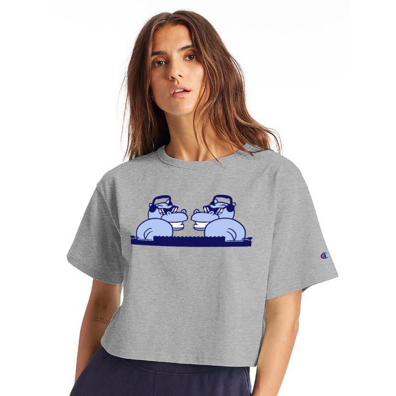 2 Cool DJ Hippos Two Party Animals Mixing Console
