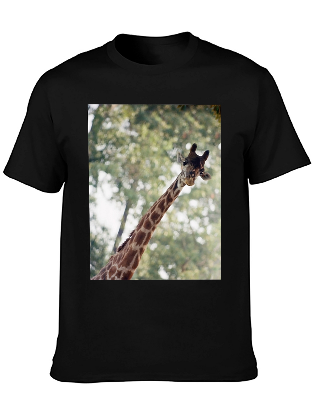 Giraffe Graphic T-Shirt - Unisex Black Tee