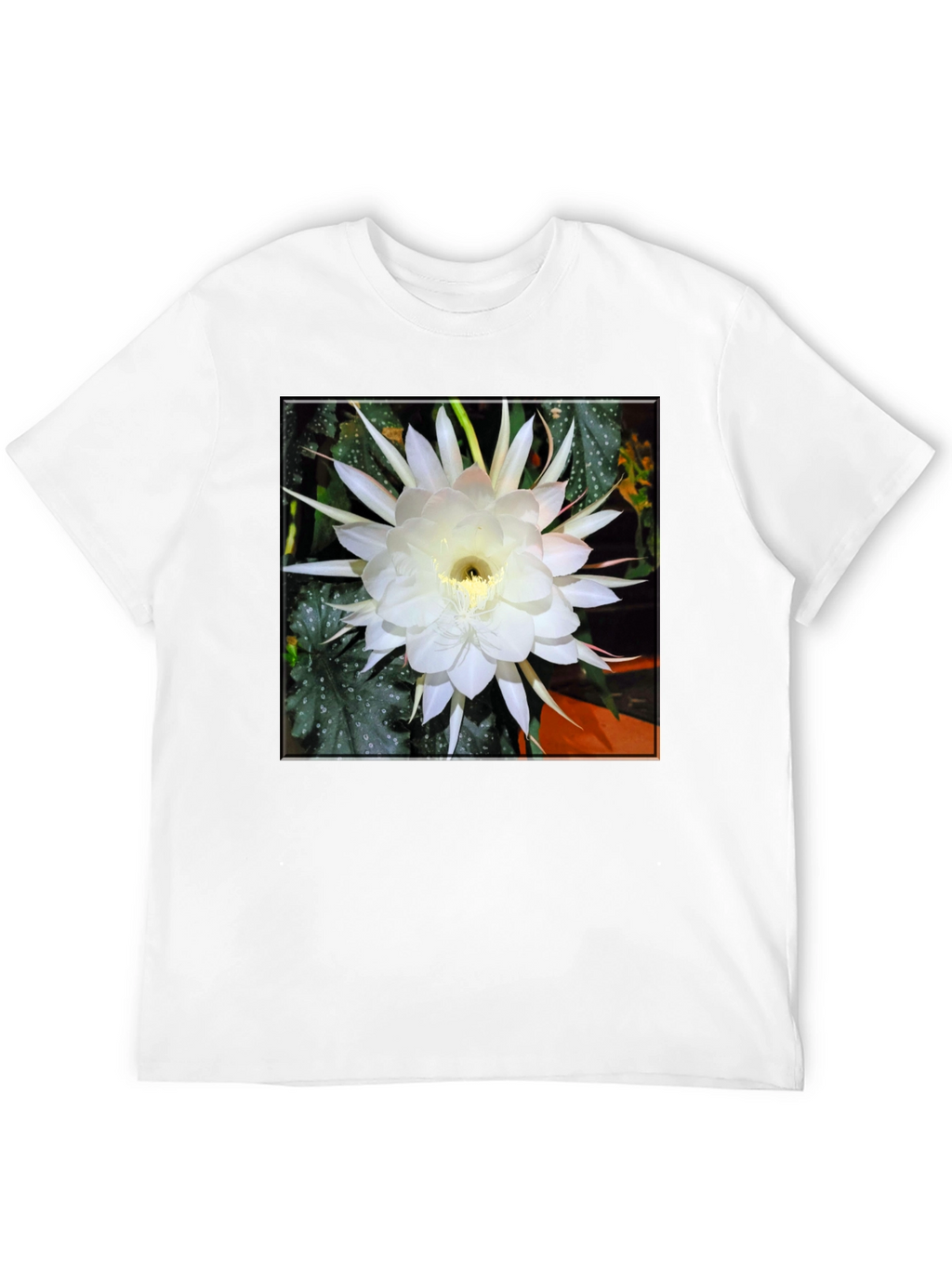 Night Blooming Cereus Flower Graphic T-Shirt
