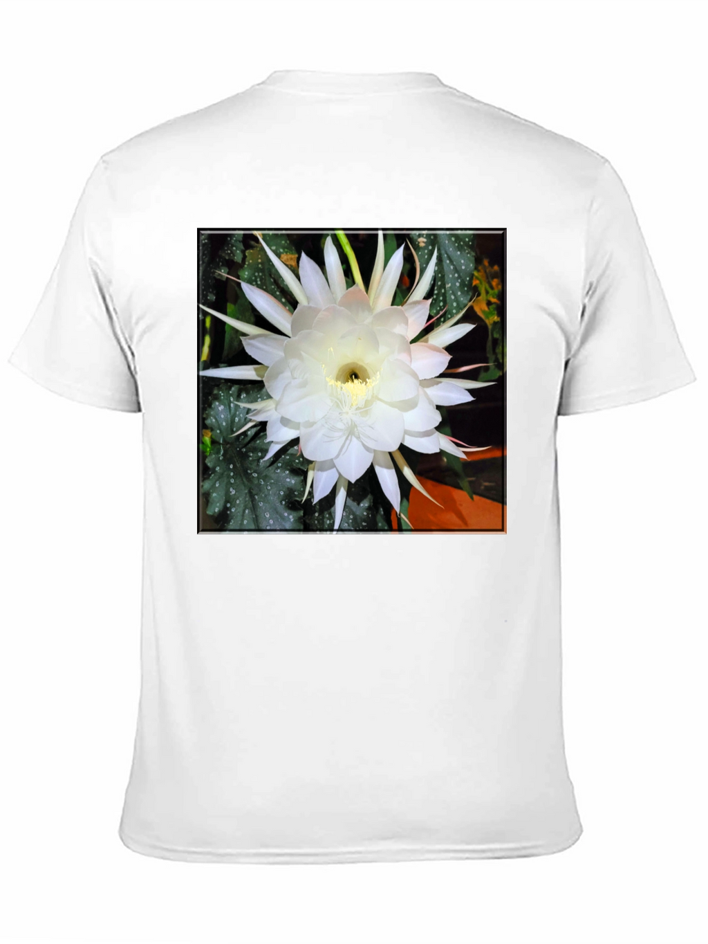Night Blooming Cereus Flower Graphic T-Shirt