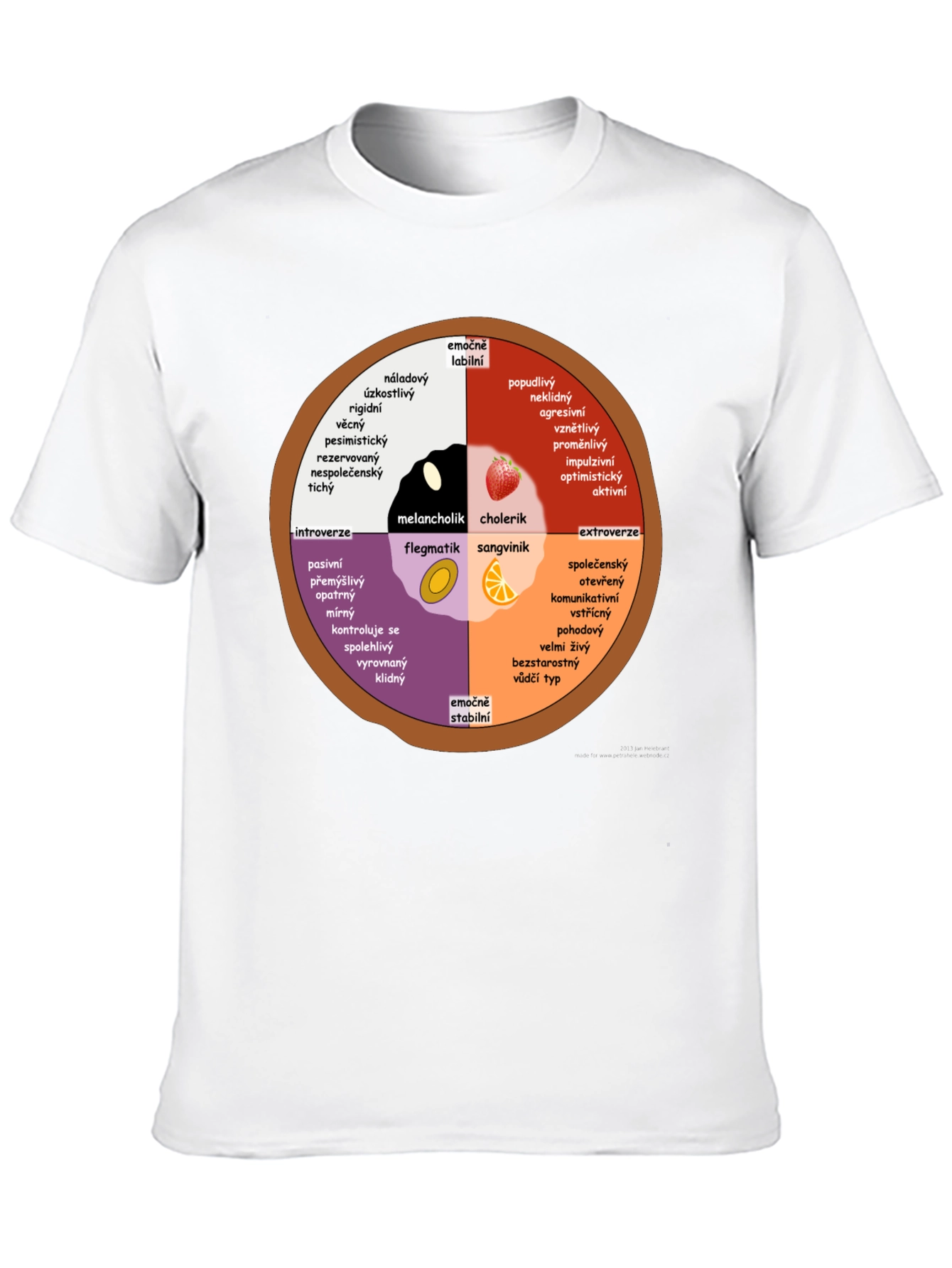 Personality Wheel T-Shirt - Introvert Extrovert Type