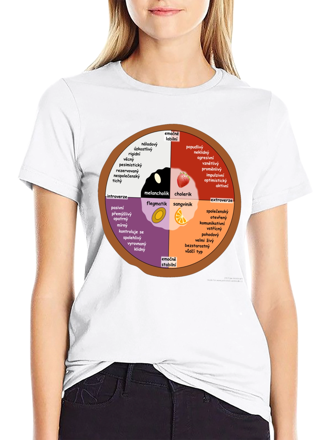 Personality Wheel T-Shirt - Introvert Extrovert Type