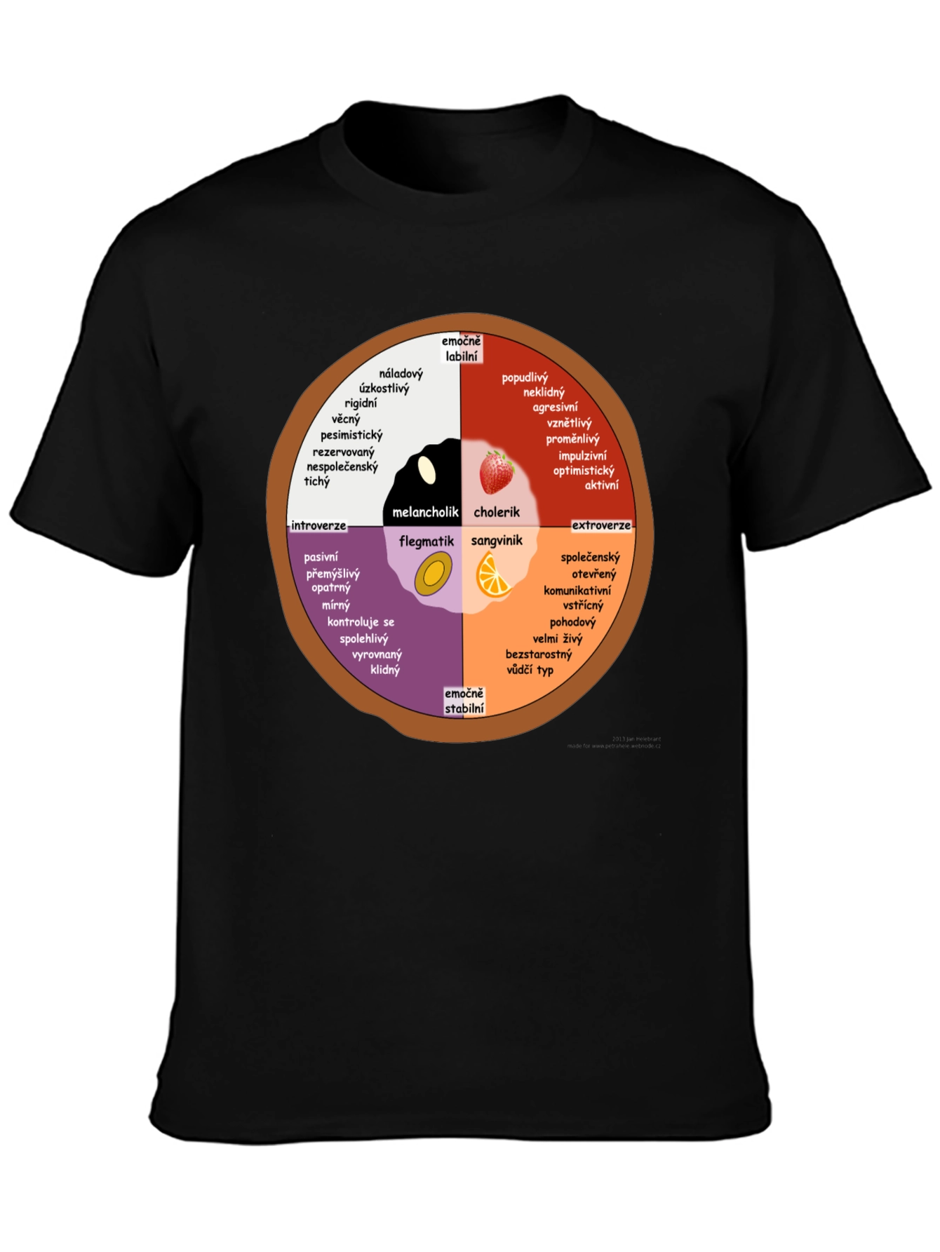 Personality Wheel T-Shirt - Introvert Extrovert Type
