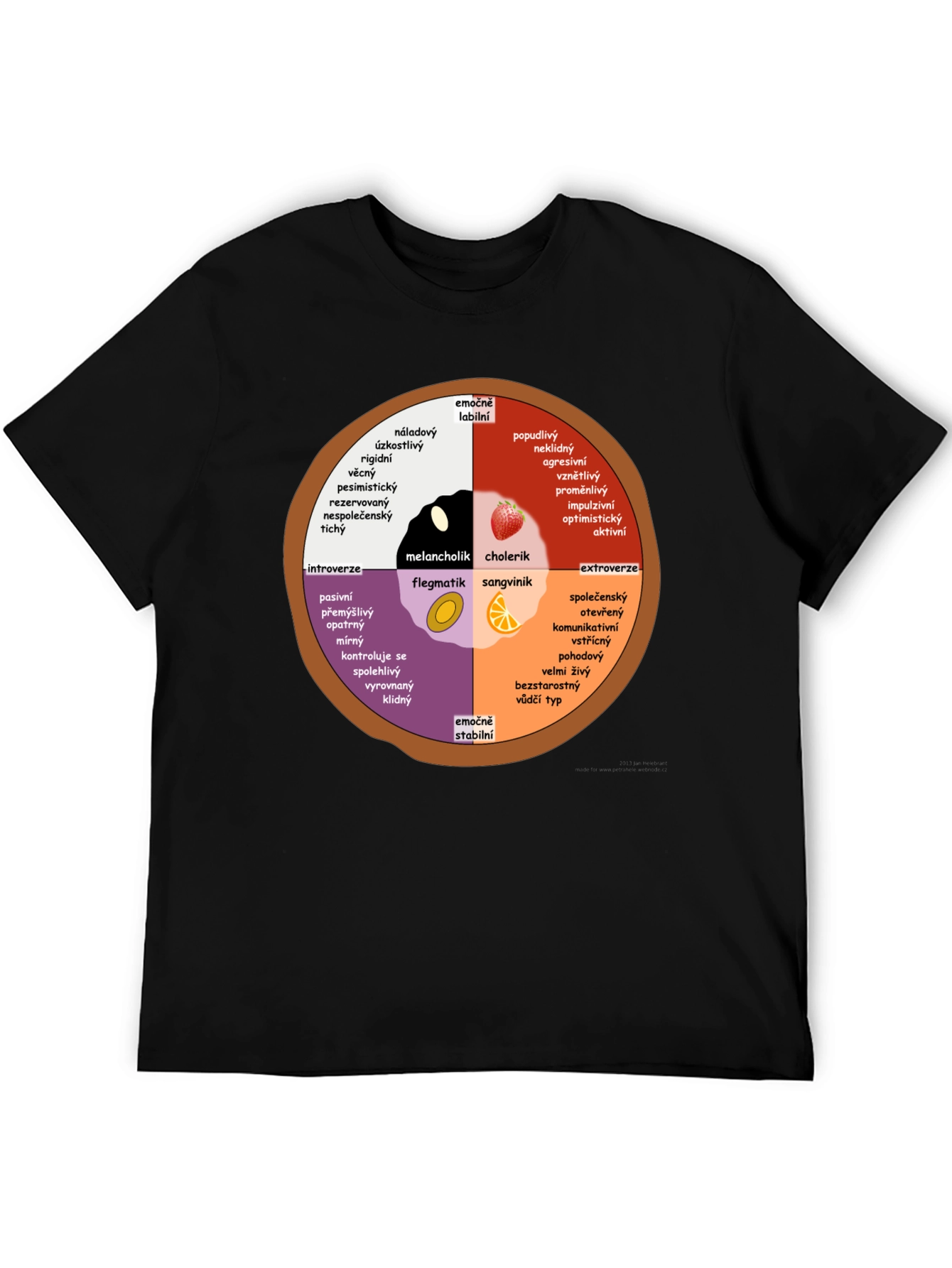 Personality Wheel T-Shirt - Introvert Extrovert Type