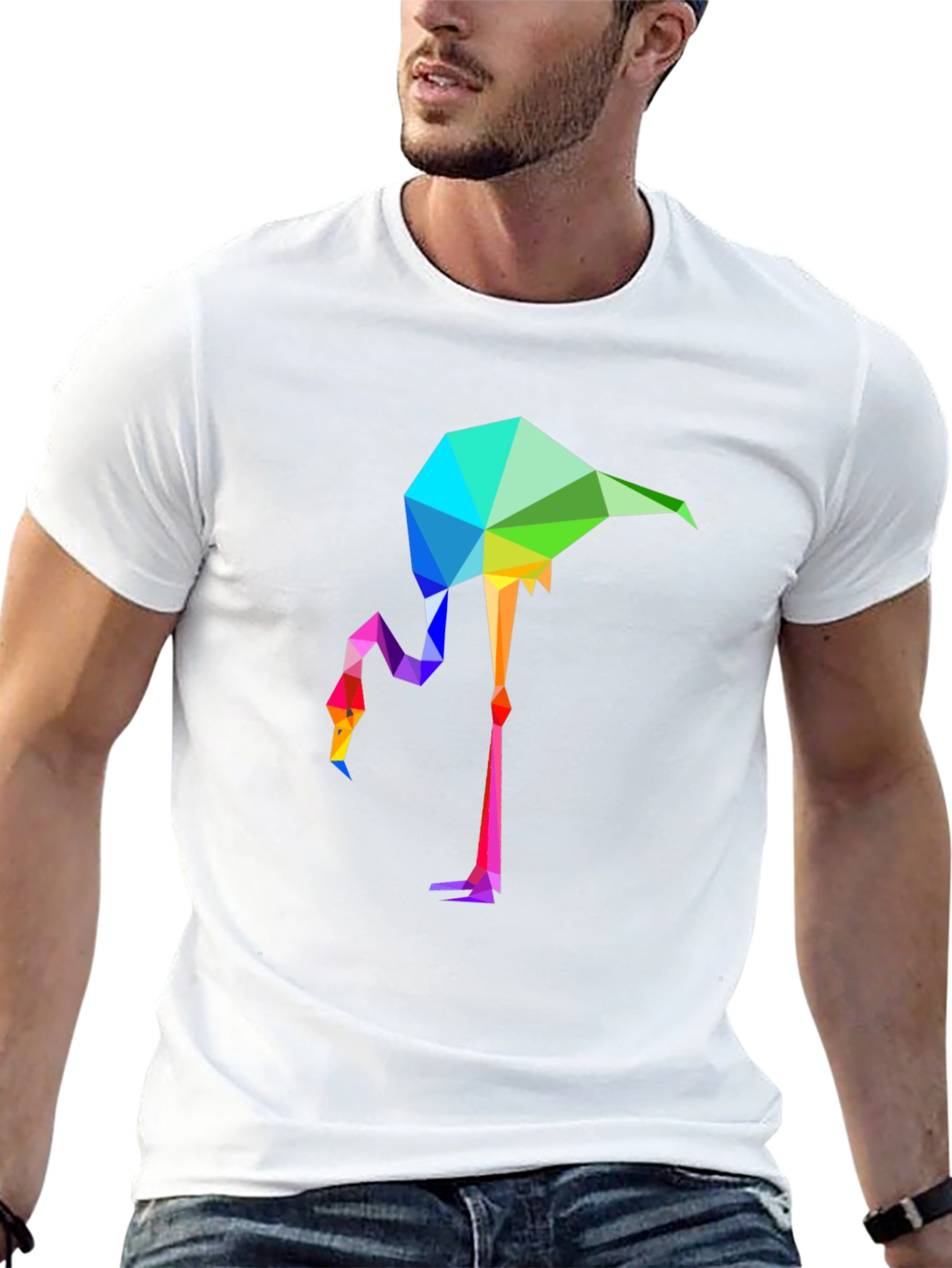 Geometric Flamingo Graphic Tee - Stylish Mens Black T-Shirt