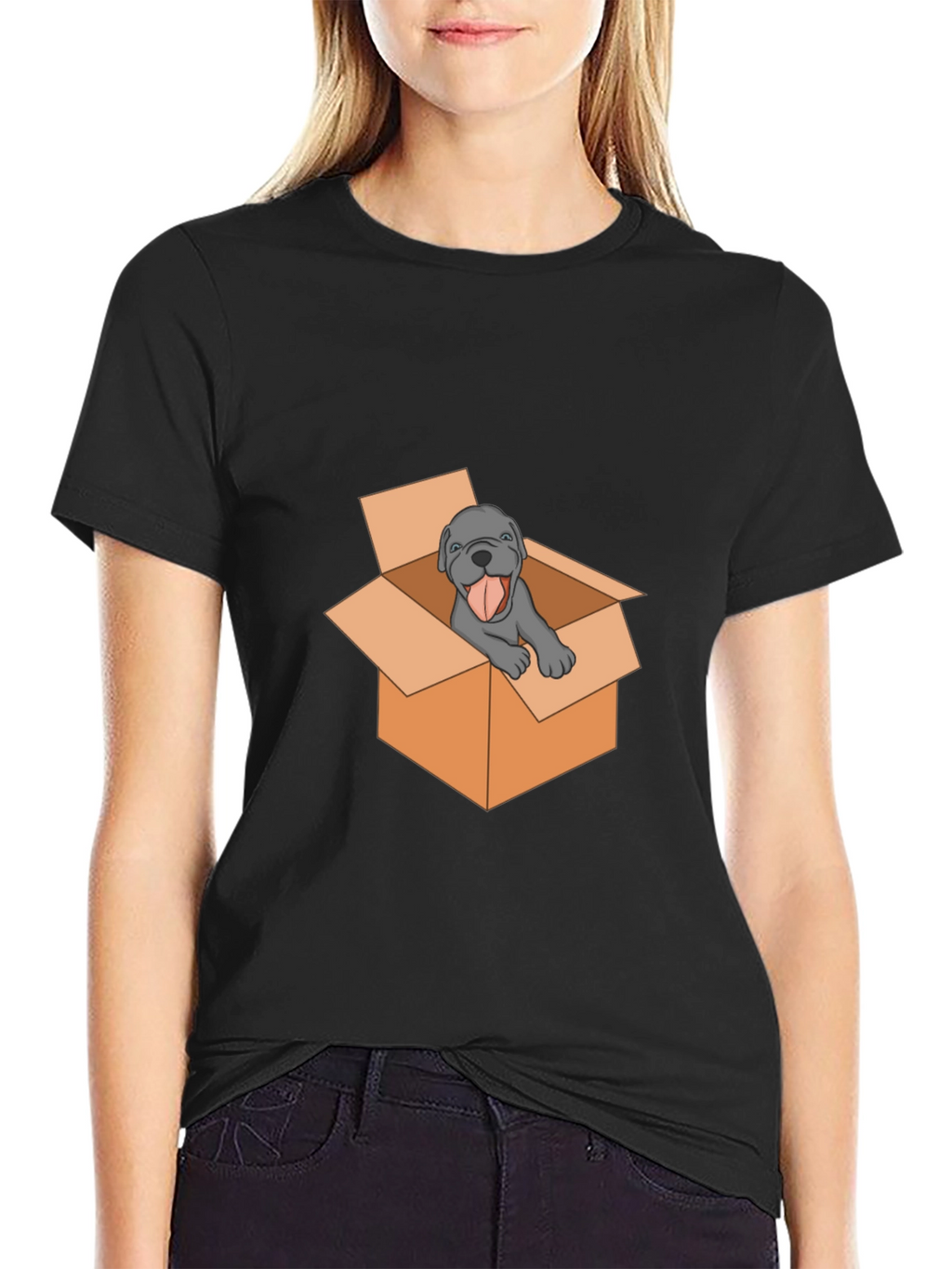 Dog in Box Graphic Tee - Mens Black T-Shirt