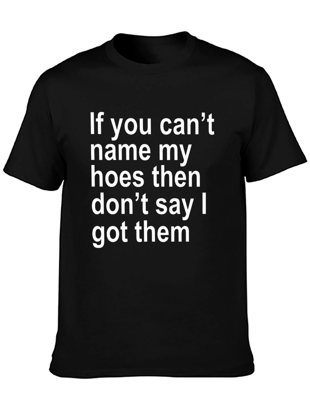 Funny Offensive T-Shirt: If You Cant Name My Hoes