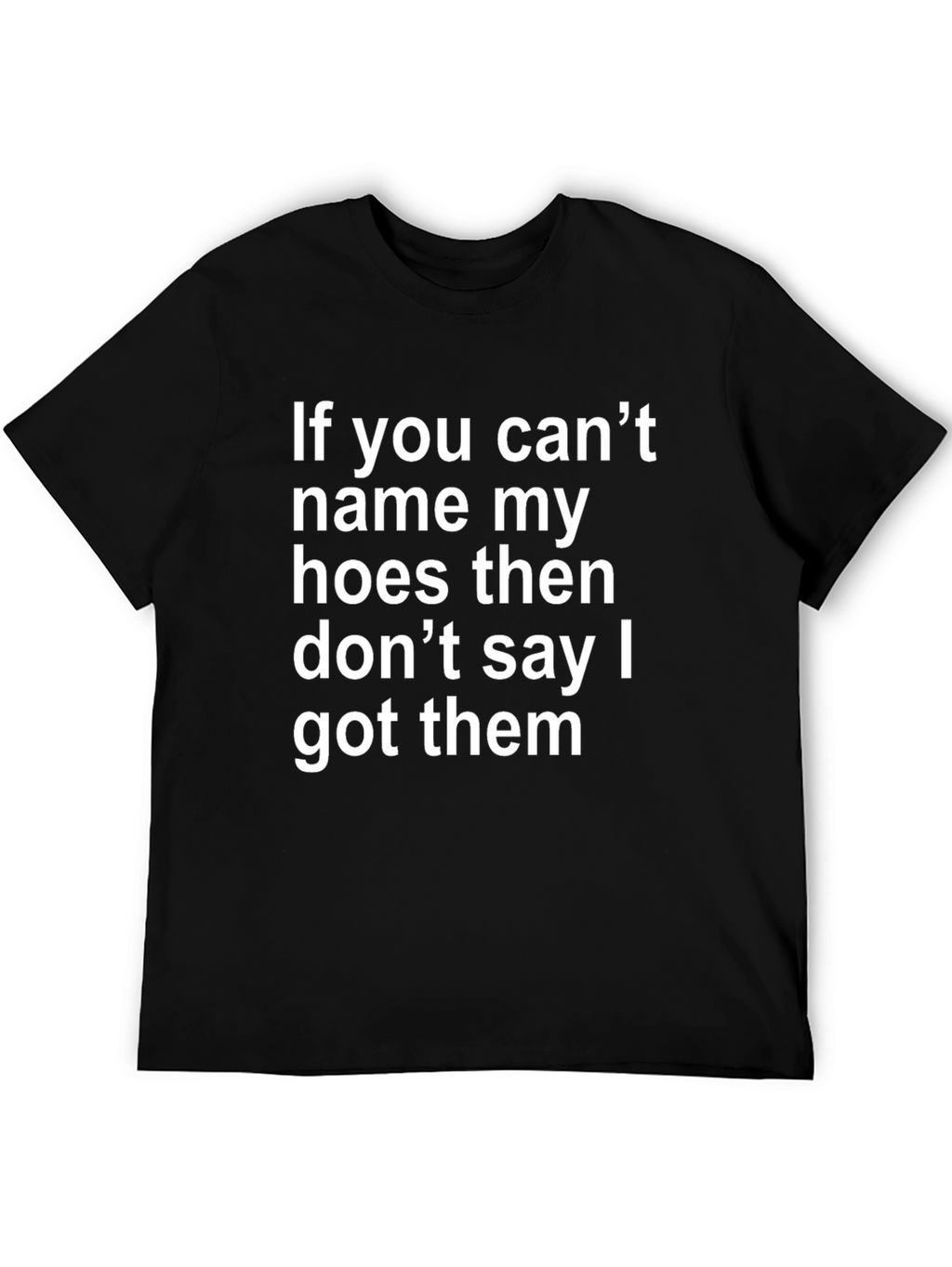 Funny Offensive T-Shirt: If You Cant Name My Hoes