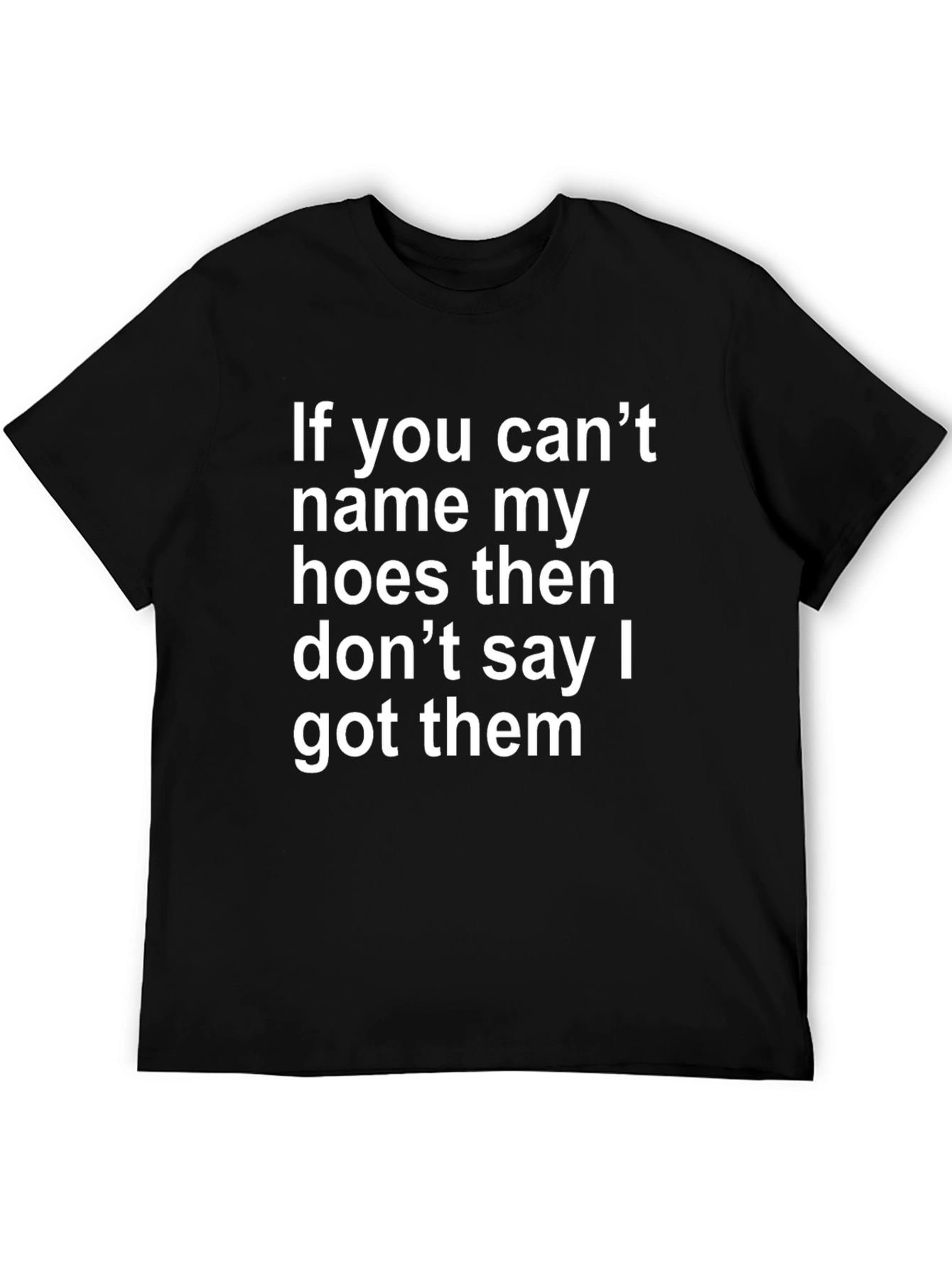 Funny Offensive T-Shirt: If You Cant Name My Hoes