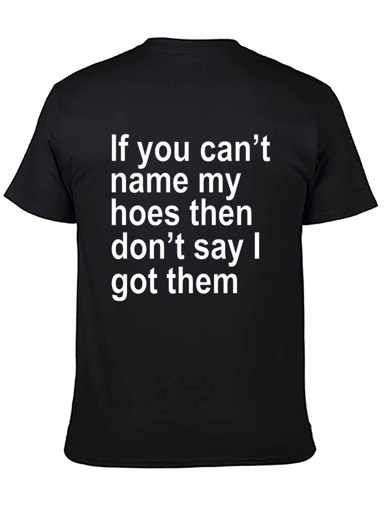 Funny Offensive T-Shirt: If You Cant Name My Hoes
