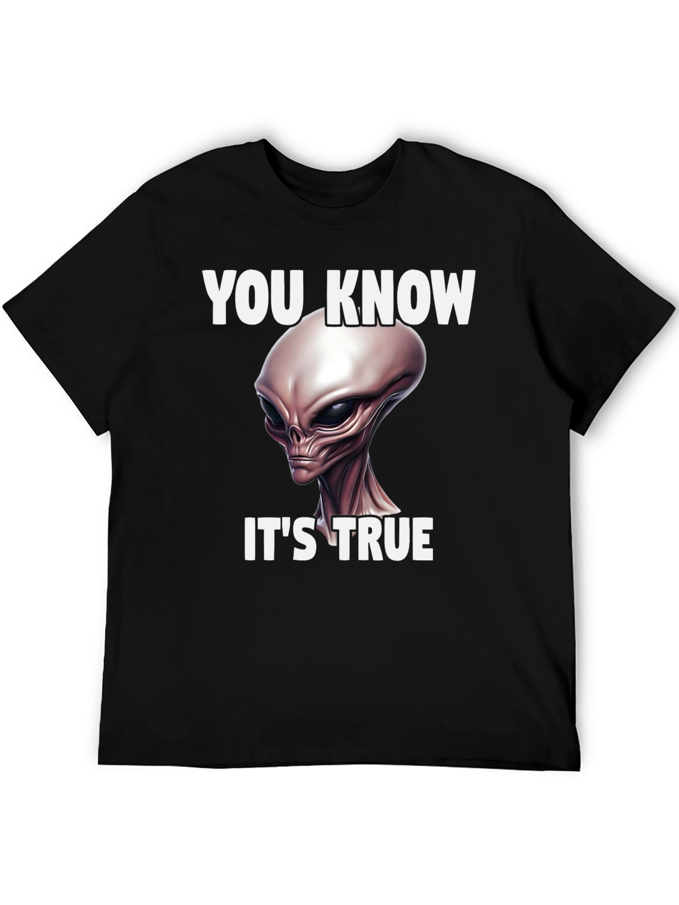 Alien Truth T-Shirt - You Know Its True Graphic Tee