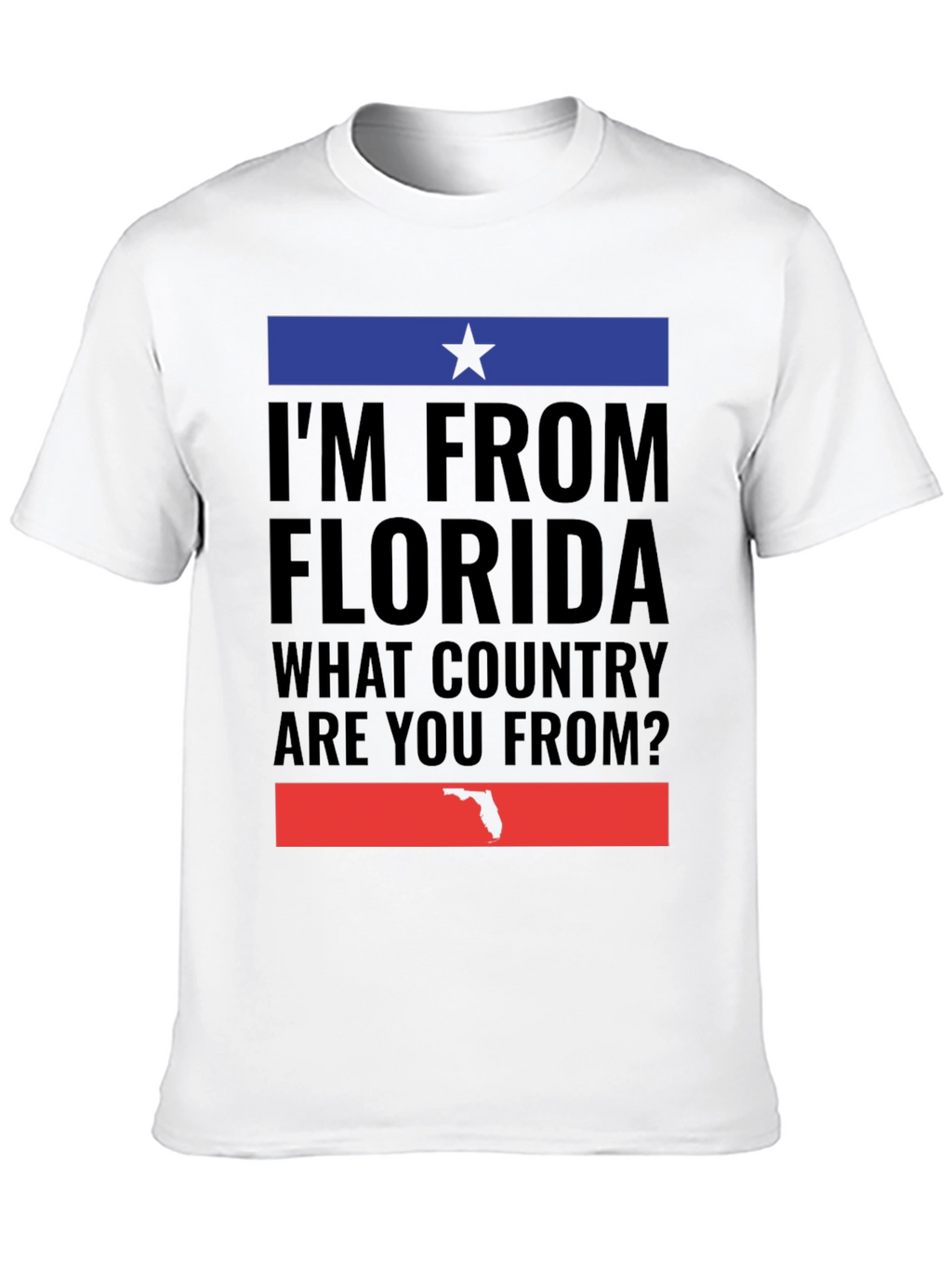 Im From Florida T-Shirt