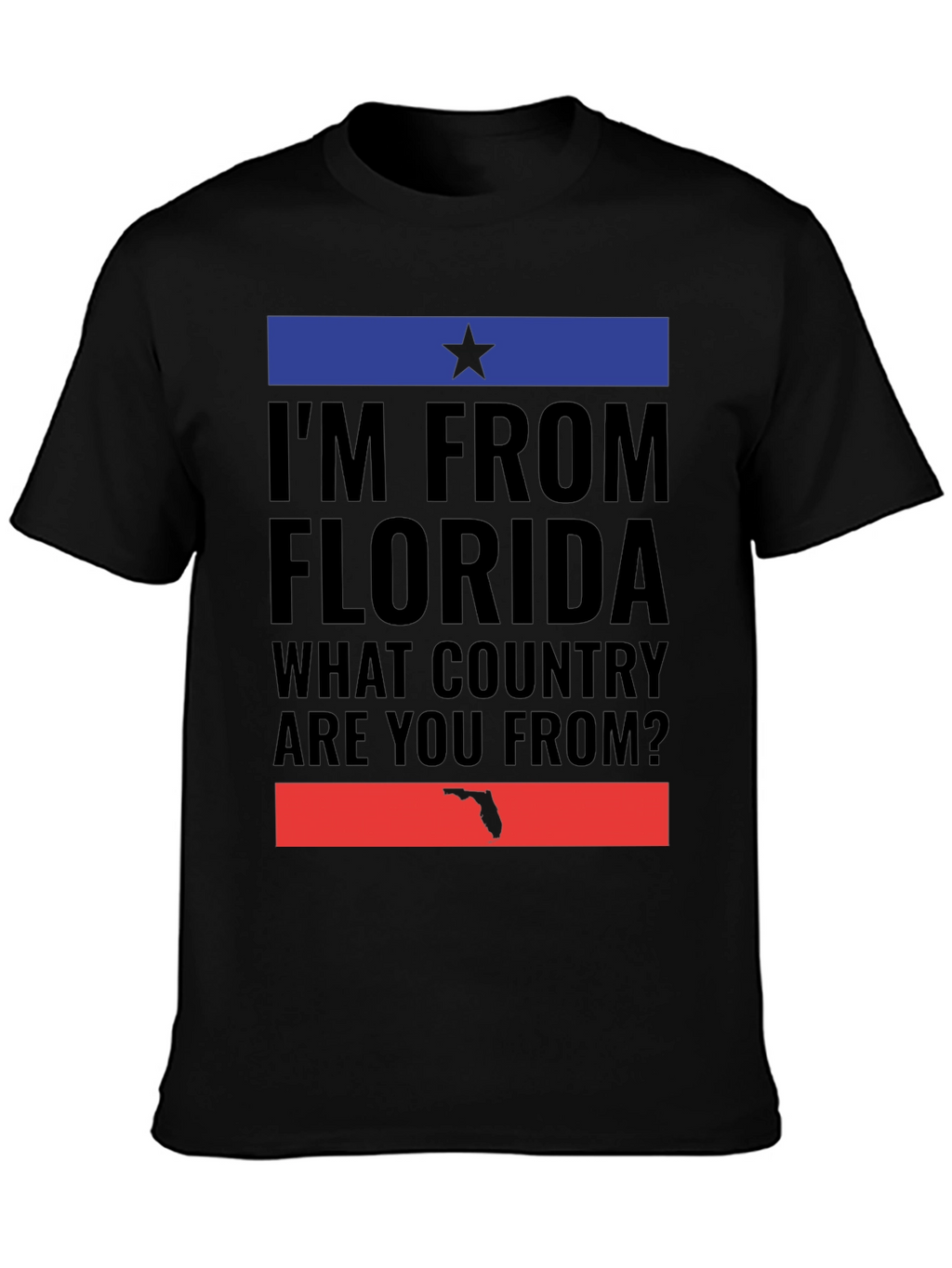 Im From Florida T-Shirt