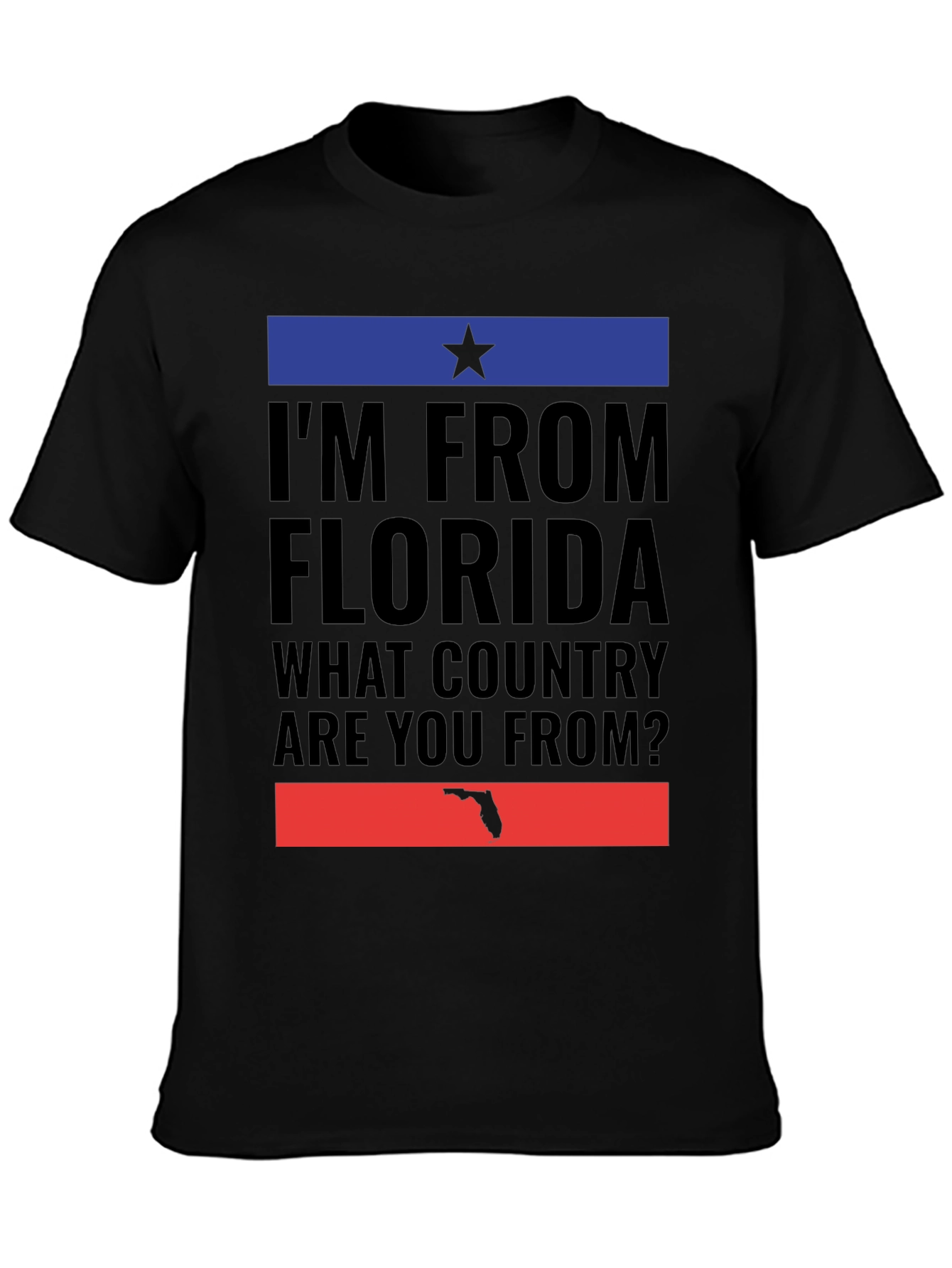 Im From Florida T-Shirt