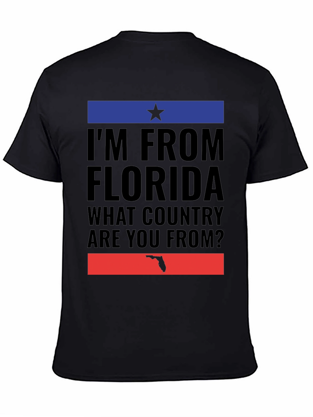 Im From Florida T-Shirt