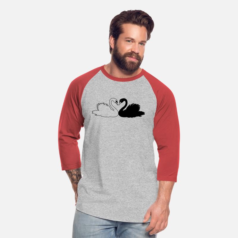Black and white swan