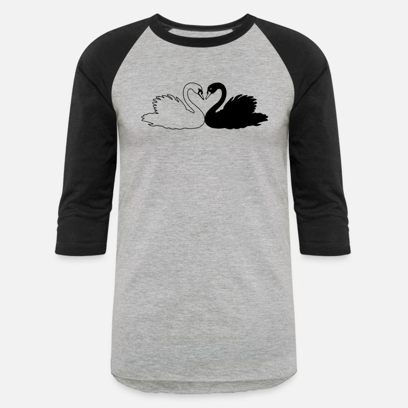 Black and white swan