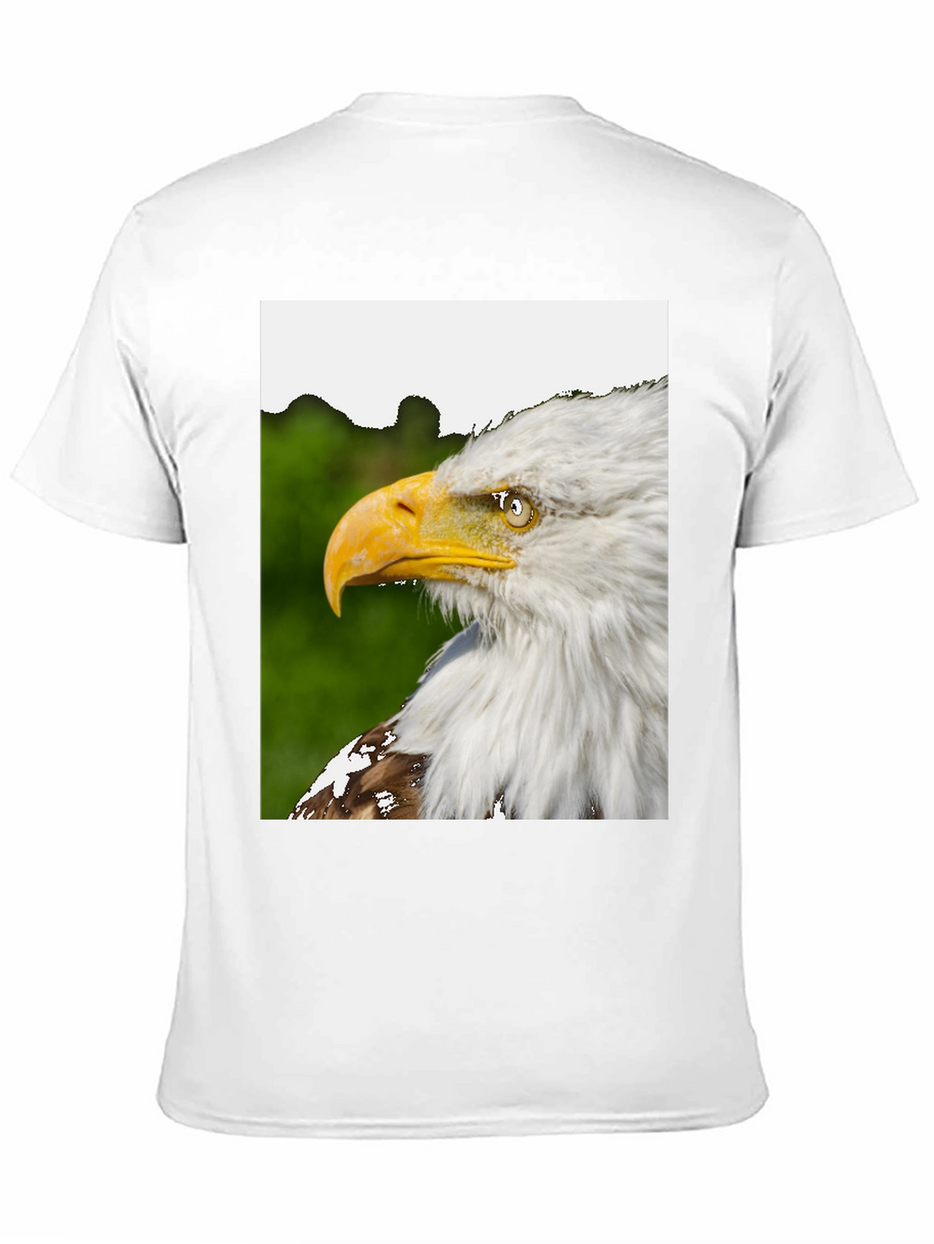 Eagle Graphic Black T-Shirt