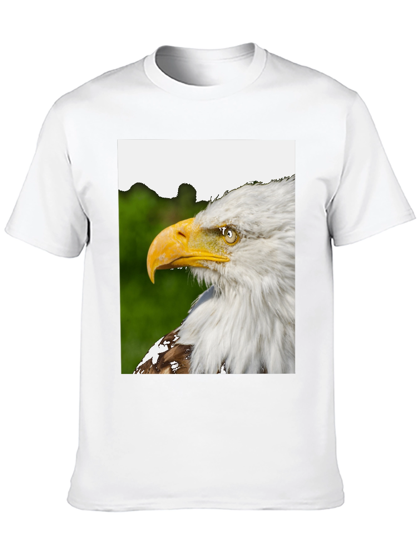 Eagle Graphic Black T-Shirt