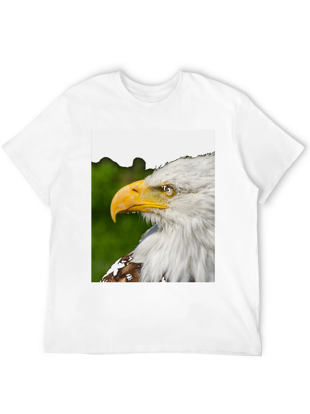 Eagle Graphic Black T-Shirt