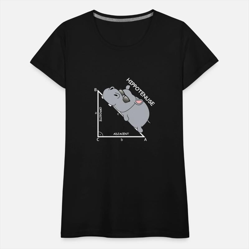 Hippotenuse | mathematics, pythagoras, hypotenuse
