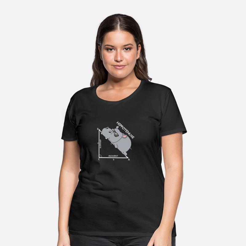 Hippotenuse | mathematics, pythagoras, hypotenuse