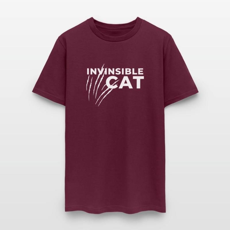 Invisible Cat