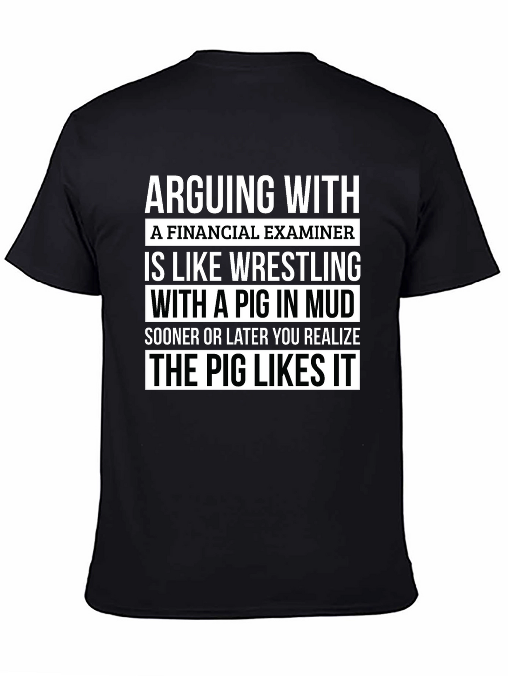 Financial Examiner Pig T-Shirt Funny Gift