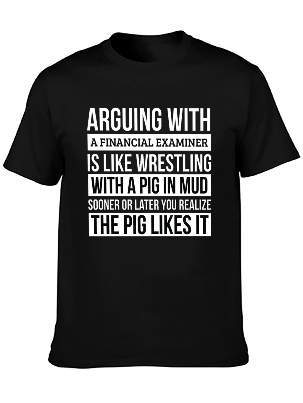 Financial Examiner Pig T-Shirt Funny Gift