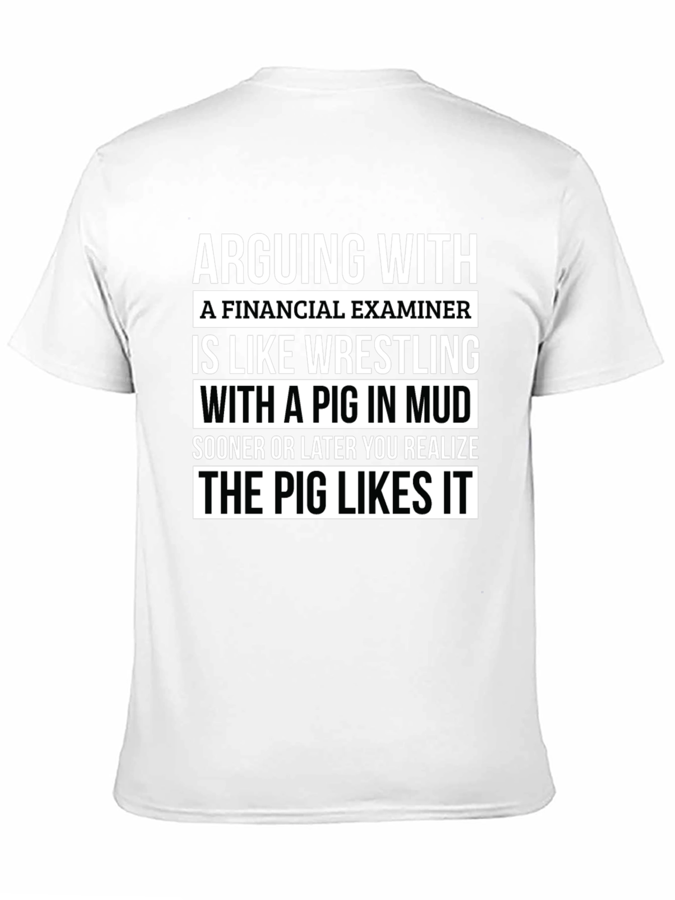 Financial Examiner Pig T-Shirt Funny Gift