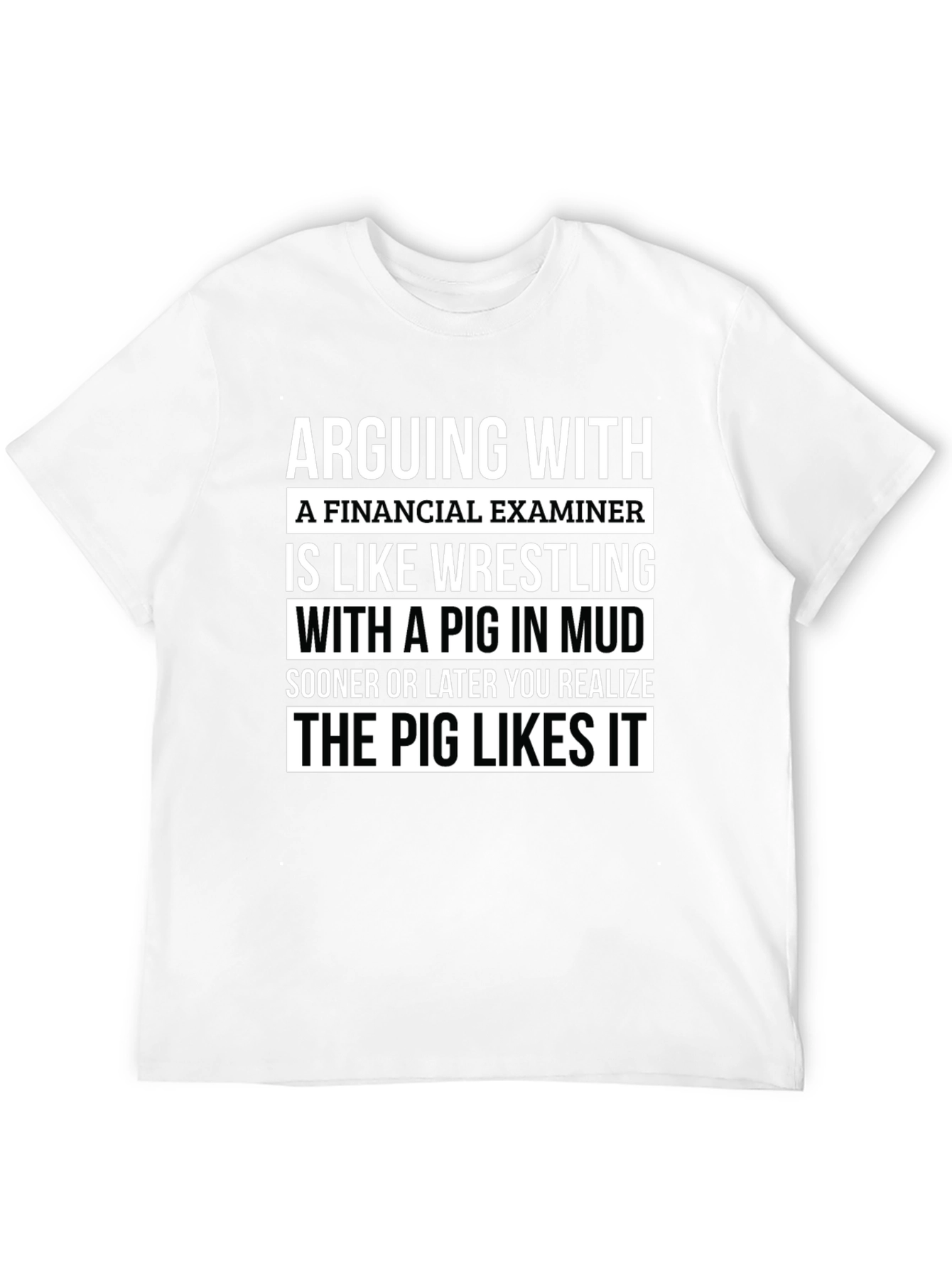 Financial Examiner Pig T-Shirt Funny Gift