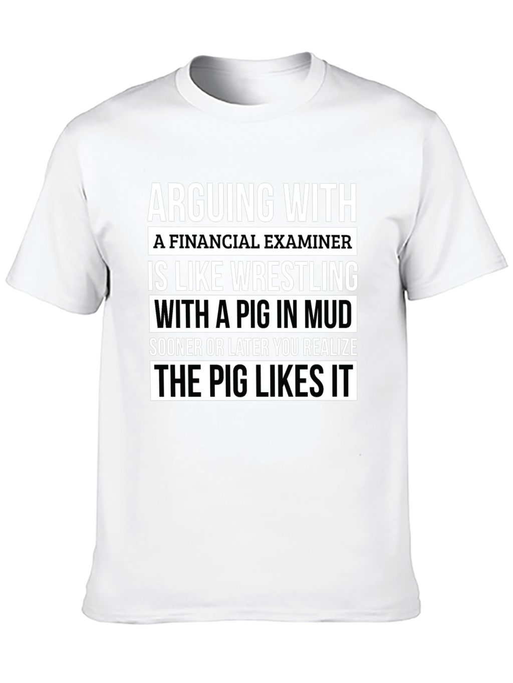 Financial Examiner Pig T-Shirt Funny Gift