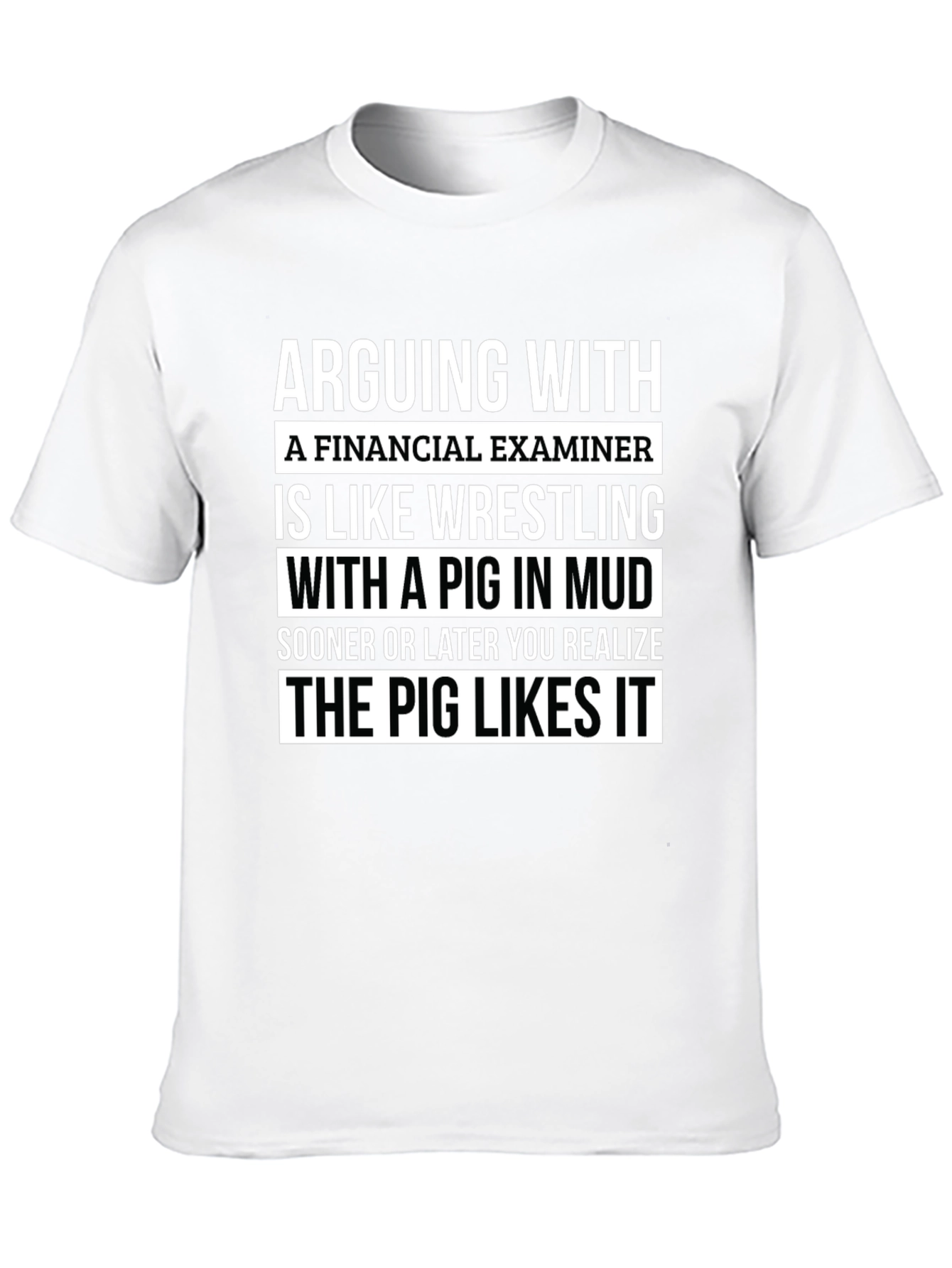 Financial Examiner Pig T-Shirt Funny Gift