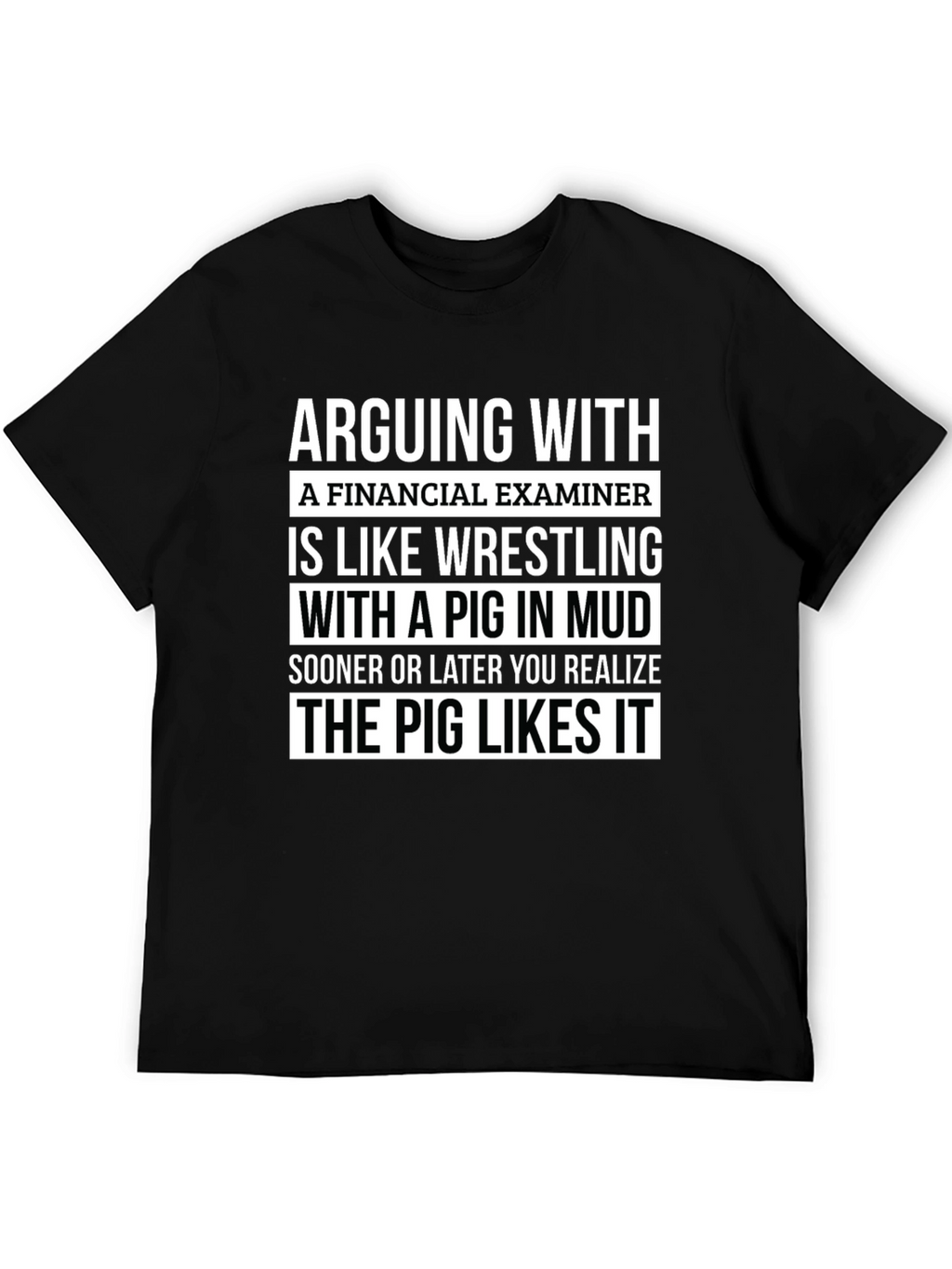 Financial Examiner Pig T-Shirt Funny Gift