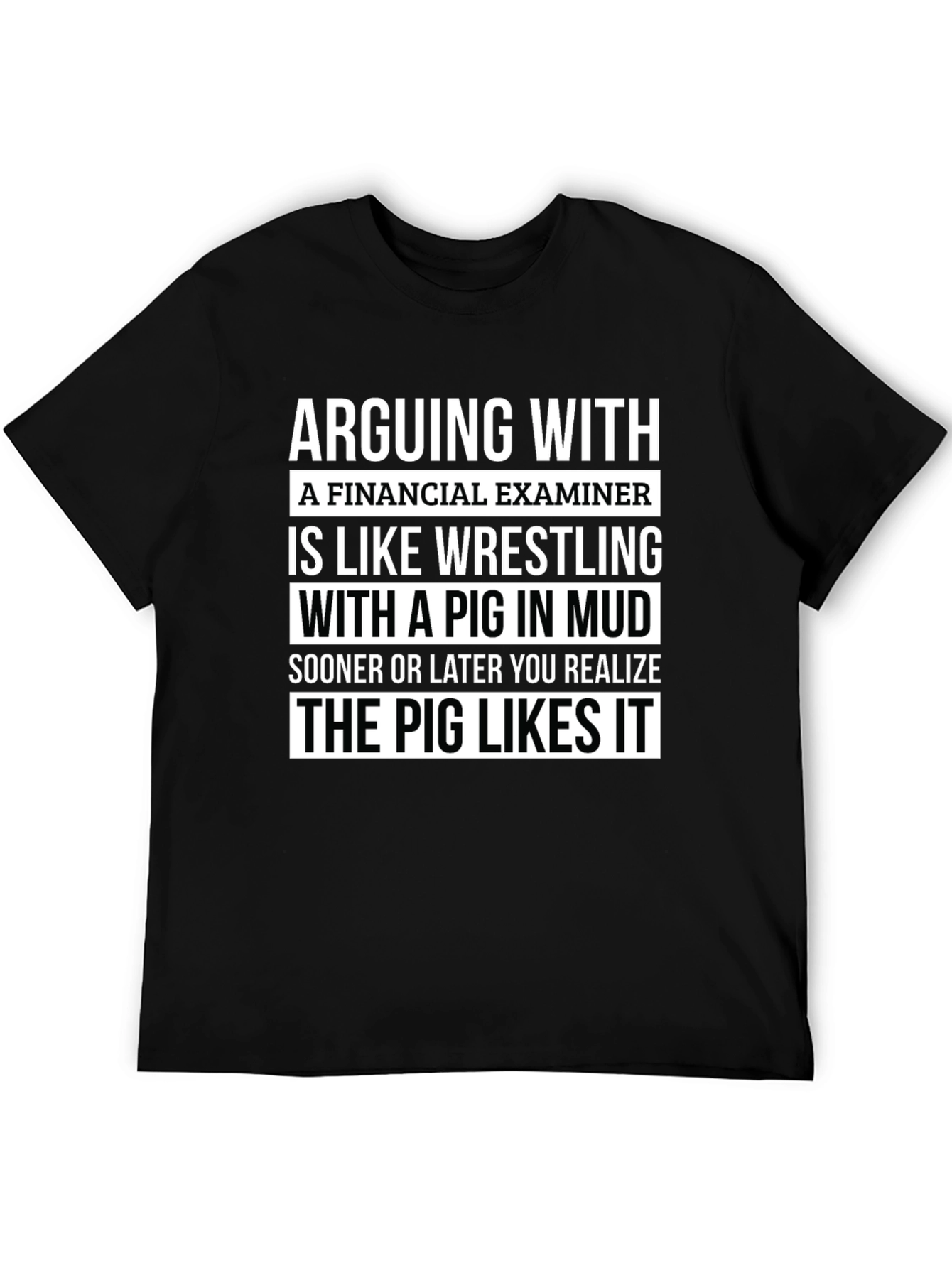 Financial Examiner Pig T-Shirt Funny Gift